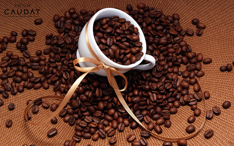 Arabica là một trong những loại cà phê tốt cho sức khỏe