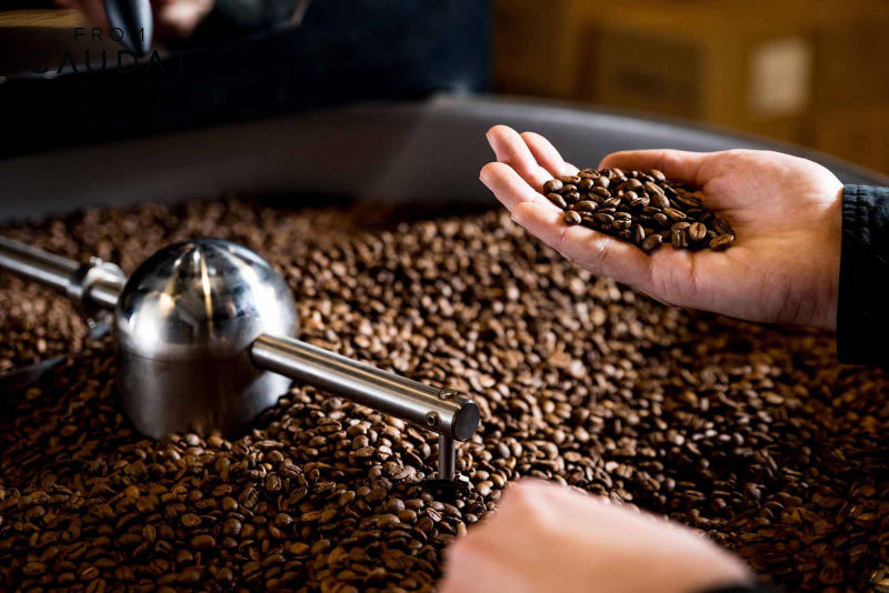 Cách rang cà phê Arabica Cầu Đất