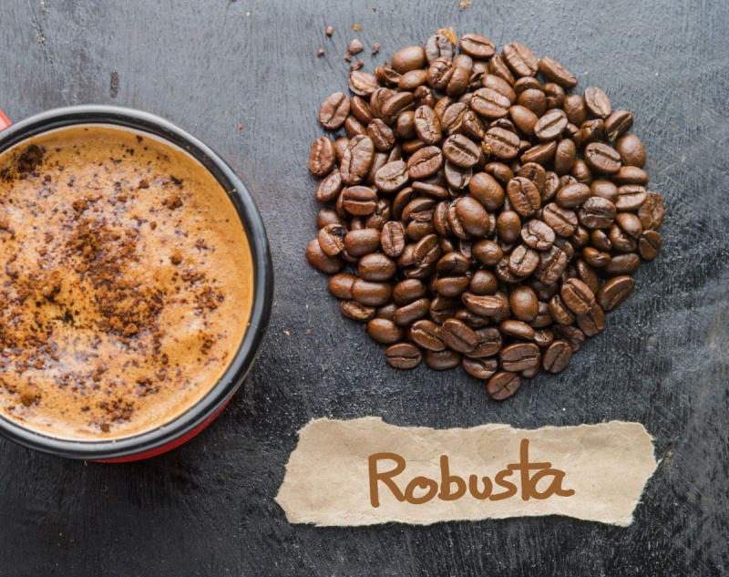 Hạt cà phê nguyên chất Robusta