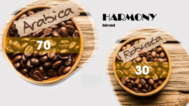 Cà phê trộn loại nào ngon - Công thức Harmony Blend