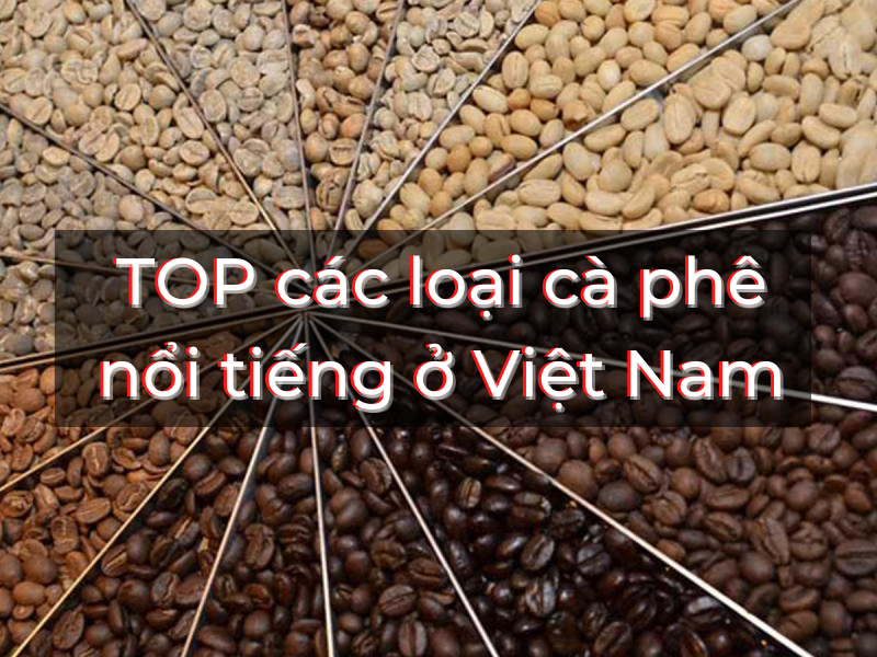 các loại cà phê nổi tiếng ở Việt Nam