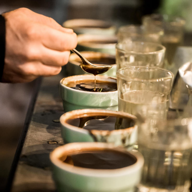 Nguồn gốc của cupping café